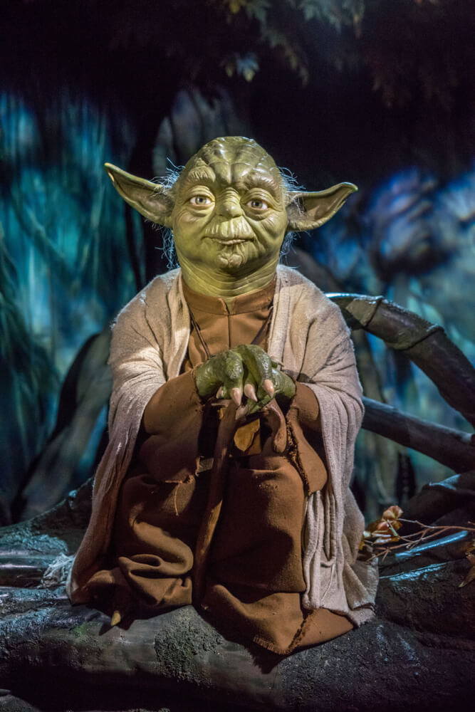 Picture of Yoda in Dagobah
